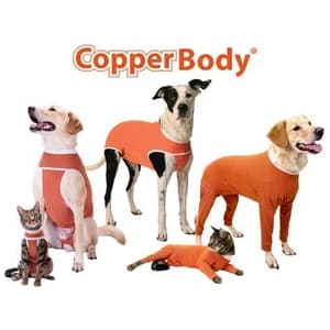 CopperBody